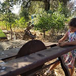 Fort Cross Camping w Activities!