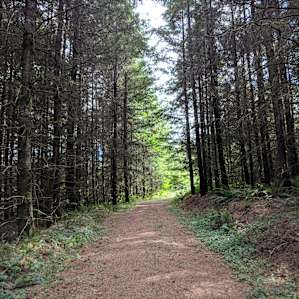 Hiking up the hill