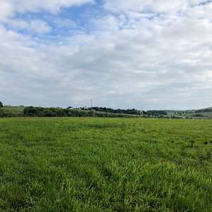 Berry Orchard Camp at Greenane