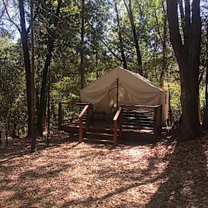 Shelterwood- Juniper Ridge Site
