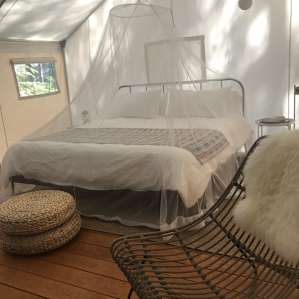 Shelterwood- Juniper Ridge Site