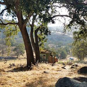 Pasture Cabin- Secluded