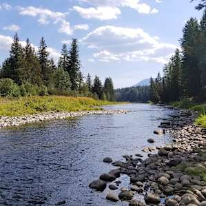 Iron Horse Forest River Cabin