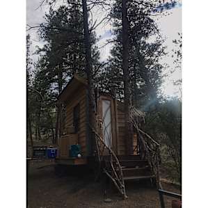 Rustic Elegant Wooded Tree Cabin