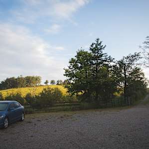 Plenty of parking with a view.