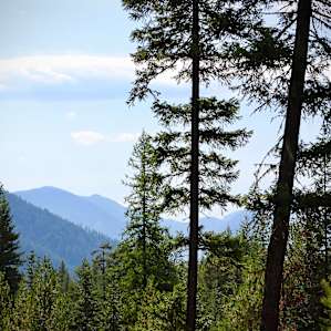 The view from the deck.