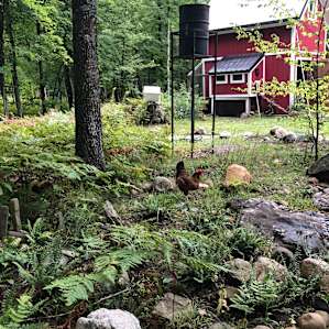 Secluded Wildlife Paradise