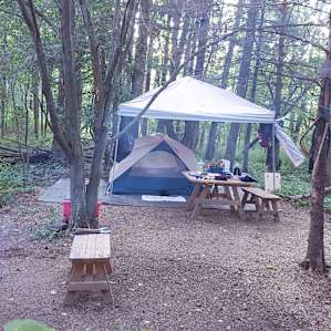 Summer Hills Farm - Canadice, NY