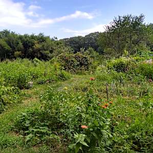 Hay House Farm