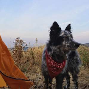 Ready to get up for sunrise.
