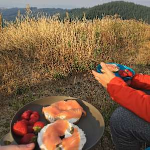 Breakfast with a view.