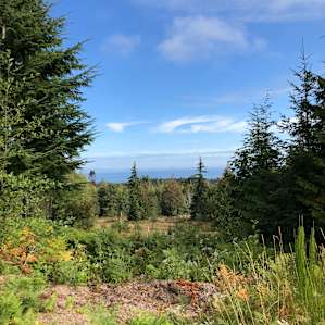 View from right above the campsite