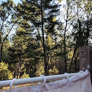 The outdoor shower is fantastic