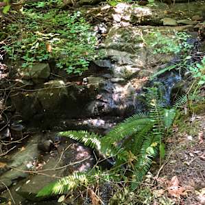 Beautiful hike