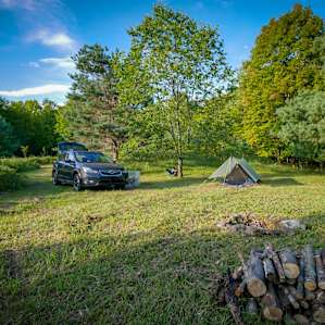Site #2, from the back looking towards the mowed entrance. Trees for shade, lots of space, and a stack of firewood upon arrival.