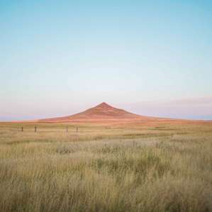 Quiet Cattle Ranch