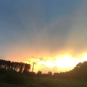 Bright Star Farm