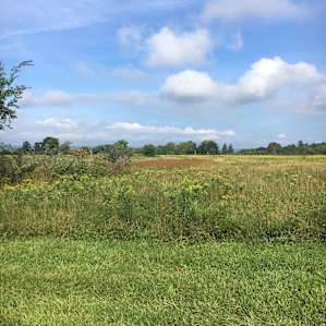 Secluded Hilltop Meadow on Farm