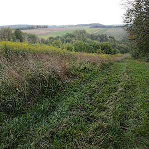 Wandering Acres