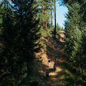 It is a little walk to the campsite, but easy enough that this crew of little ones thoroughly enjoyed it