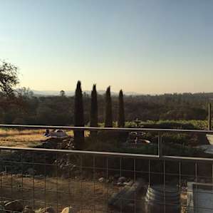 Camp in the Vineyards