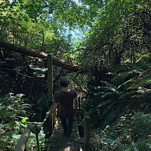 Beach trail