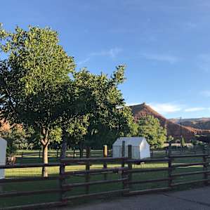 Zion On The Green -DIY Tent Deck