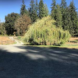 Pasture near Olympic National Park