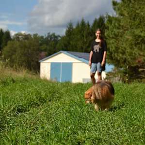 Possum Farm Camp