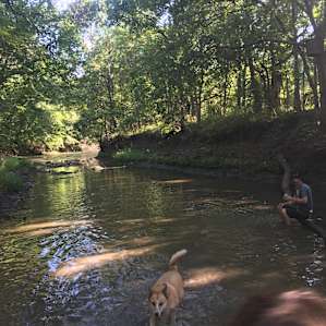 The Creek, looking south, was just down a small slope on the other side of the fire-pits. Everyone enjoyed it! Shoe's suggested- mostly rocky bottom.