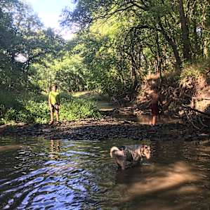 The Creek, looking north, was just down a small slope on the other side of the fire-pits. There had been just enough rain recently, that we could dip in and splash around.