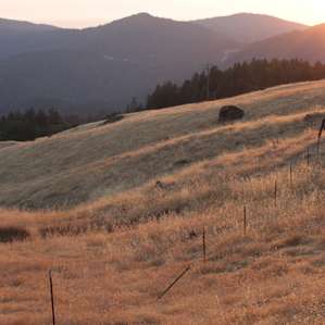The Ridgetop Camp