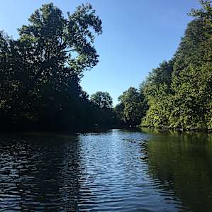 River Bluff Woods