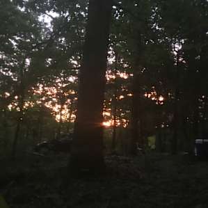 River Bluff Woods