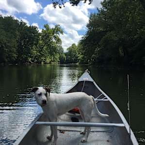 River Bluff Woods