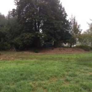 Nearby meadow