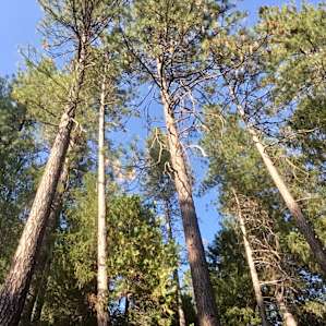 The view from our campsite