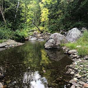 Awesome creek that you can hike either way for hours!