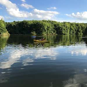 Lake and Forest Camping