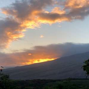 Kaupo Maui Puka au Huhu Farm