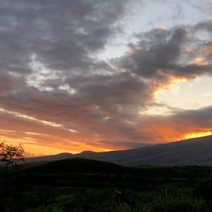 Kaupo Maui Puka au Huhu Farm