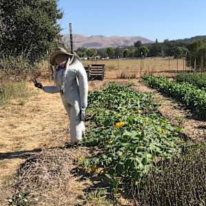 Oak Haven/ Branch Mill Organic Farm