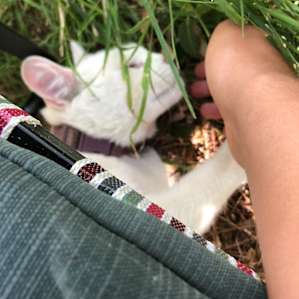Kitty!