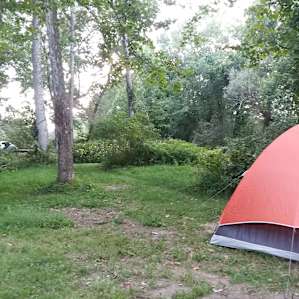 Grove campsite