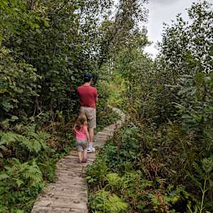 Walking on one of the many trails
