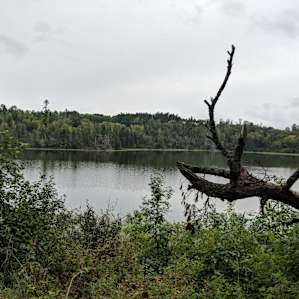 Beautiful views of Lake Itasca