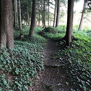 Site 4 across river from boat launch and still a nice site if you want just a short hike in