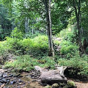 Waterfall Cove, Glamp with a View!