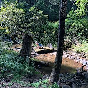 Waterfall Cove, Glamp with a View!
