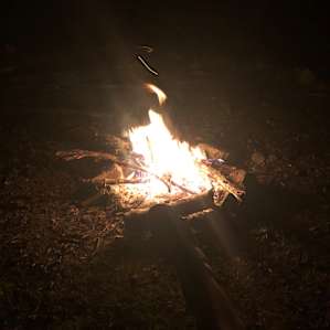 Peace